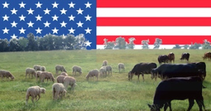 Agriculture élevage négociations USA