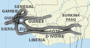 Virus Ebola Afrique