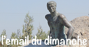 Memed vignette